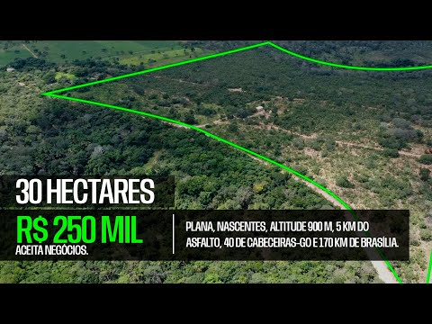 Oportunidade: 30 Hectares Buritis–MG, 5 km do asfalto, plana, nascentes, altitude 900 m, R$ 250 Mil!