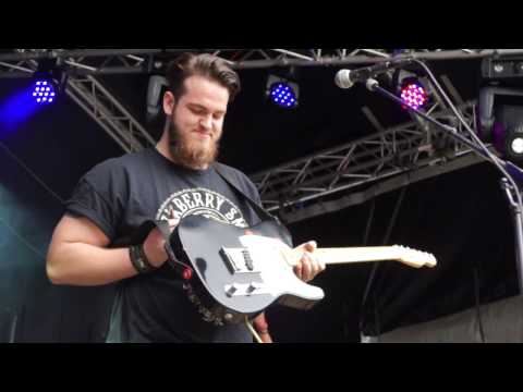 Dave Vermeulen & Voltage Live @ Grotebeekpop 20160807145658