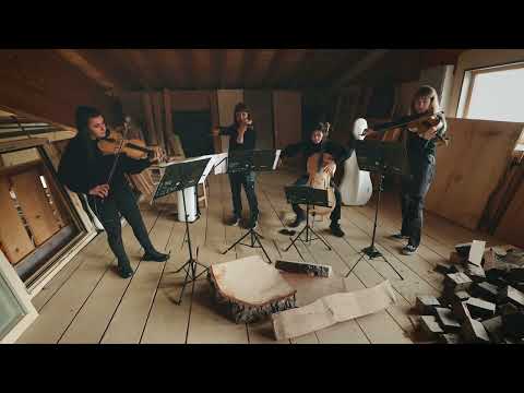 Dentro il suono delle Alpi - ANIMA quartetto | Composer G. Bonato