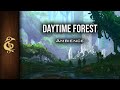 Daytime Forest | Nature Ambience | 1 Hour