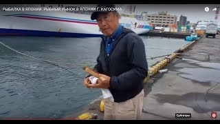 Все о рыбной ловле в японии