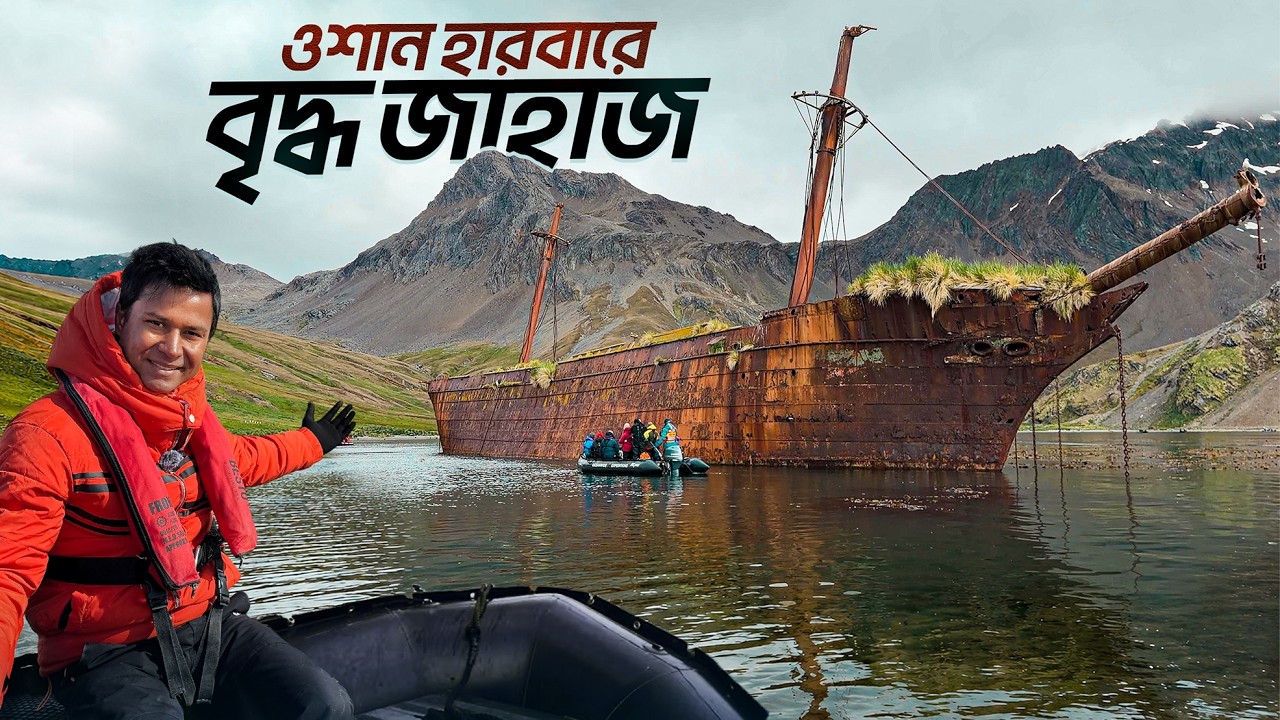 অ্যান্টার্কটিকার পথে অপার্থিব সৌন্দর্য ও জীববৈচিত্রে ভরা এক দ্বীপপুঞ্জ