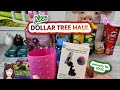 fun new dollar tree haul january 16 2025