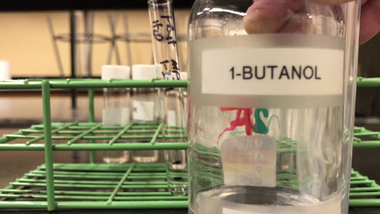 Solubility: Alcohols of Different Carbon Chain Length