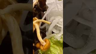 復活のしゃぶ葉