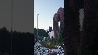 🌷 The Power of Human in Nature | Dubai’s Miracle Garden