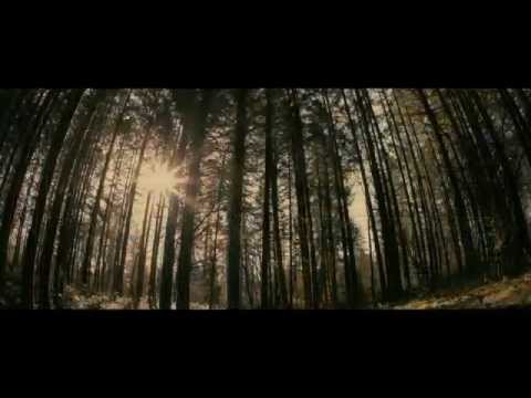 House at the End of the Street