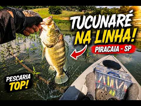 🎣 TUCUNARÉ NA LINHA! | Pescaria em Piracaia/SP