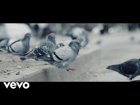 Miljardid - Olendid (Lyric Video)