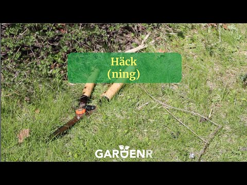 Häck (ning) - Trädgårdshacks med GardenR