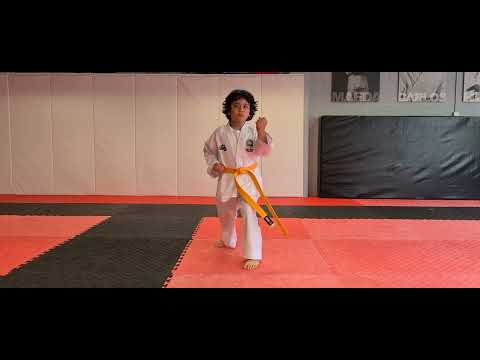 Four Direction Block (Saju Makgi) ITF Taekwon-Do
