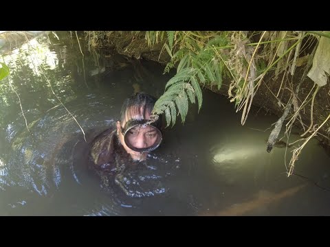 SE03EP002 Part 1 - UMANI na naman ng HULI sa IISANG LUNGGA ( Catch & Cook ) San Pablo City, Laguna
