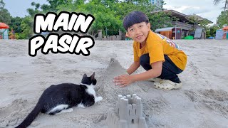 Download lagu Kyo Plays in the Sand on the Beach with a Cute Cat mp3