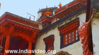 Disket monastery, Ladakh