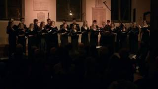 arr. Craig Hella Johnson: Motherless Child