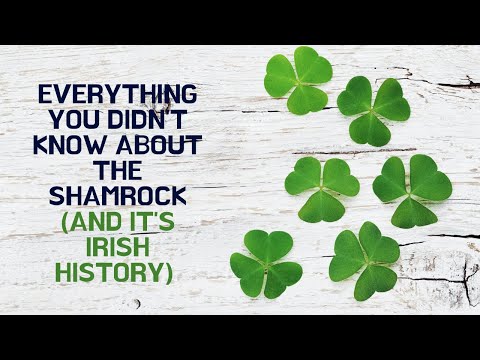 Everything you didn't know about the Shamrock ☘️