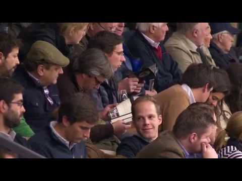 Vivino by Vivaldi/Dancier