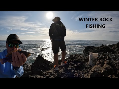 NSW Winter Rock Fishing session