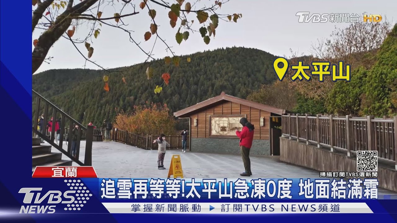 追雪再等等!太平山急凍0度 地面結滿霜