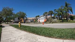 Timelapse tree removal