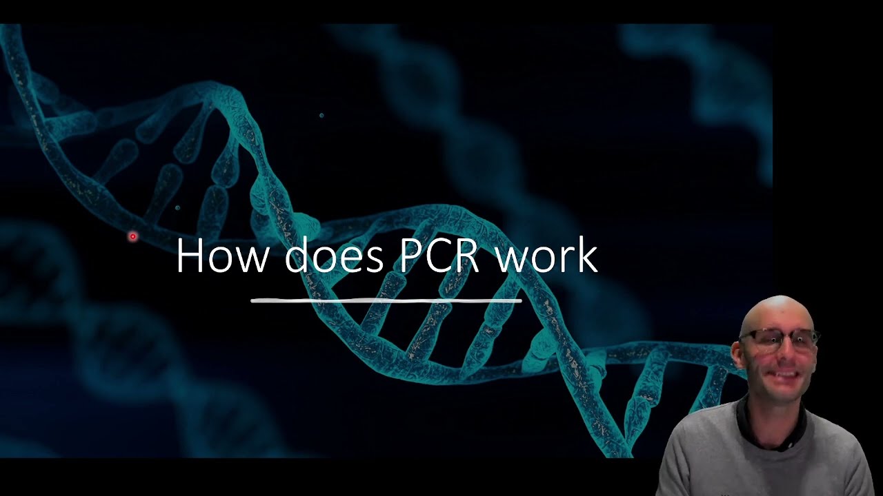 How does PCR work?