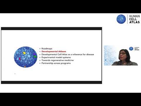 State of HCA Developmental & Pediatric Cell Atlas