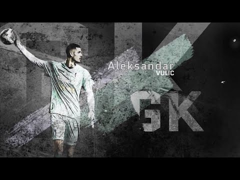 Aleksandar Vulic ● Goalkeeper ● FK Spartak Subotica ● Distributions | Highlight video