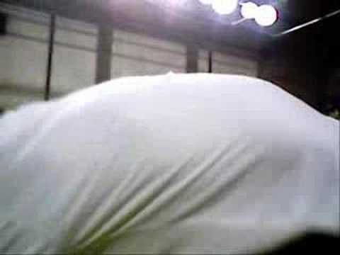 BBI 2007 Daniel vs Puber