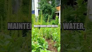 Download lagu The Wonders of Rain Gardens mp3