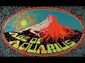 HANK MARVIN (Age of) Aquarius