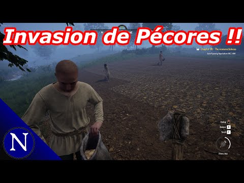 Comunita Di Steam Medieval Dynasty