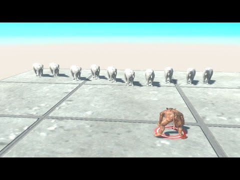 10 POLAR BEAR vs EVERY UNIT   Animal Revolt Battle Simulator