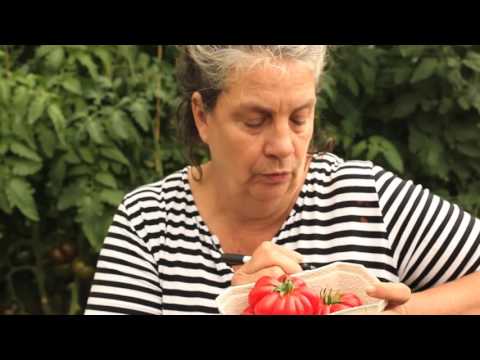 , title : 'Vidunderlige tomater, og hvordan man tager frø af dem,  fra Tomat drivhiset på Fuglebjerggaard'