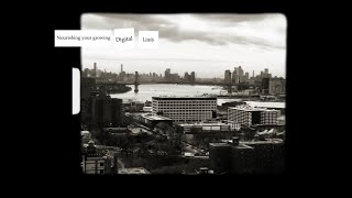 Digital Limb poem