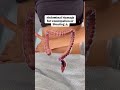 Abdominal Massage For Bloating Constipation Relief