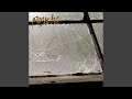 Brain Collapses (New Version)