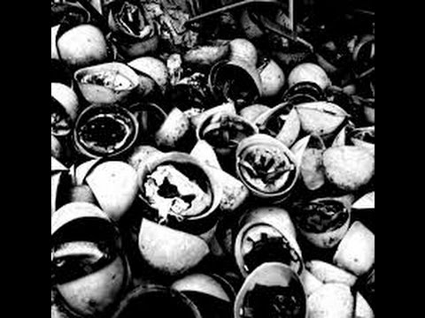 Tv7 con Voi sera del 09/12/2014 - Una riforma garantirà il lavoro (6 di 6)