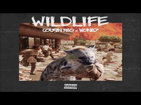 COUSIN FEO X WON87 - WILDLIFE - FULL EP (2018)
