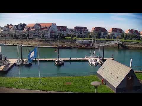 Camera Offline