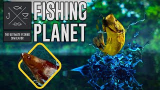 🎮 Bonus Game: Fishing Planet - Quanchkin Monster - Zombie Cat (Peixe-gato Zombie)
