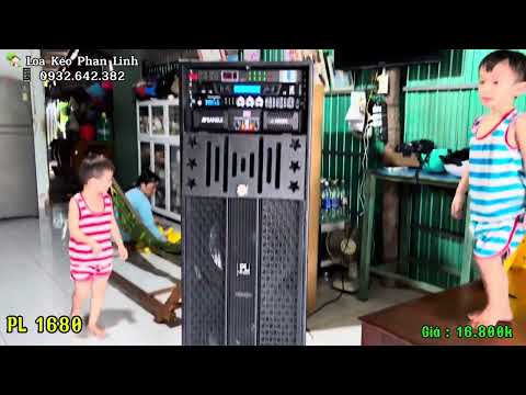 Bàn giao Loa điện 40 đôi PL 1680 về anh Tèo Cần Thơ