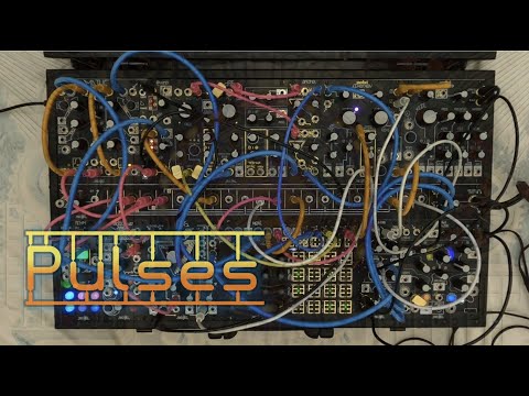 Make Noise Black & Gold Shared System Plus 2008 - Present - Black & Gold image 7