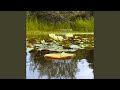 Quietude