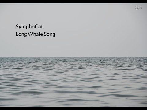 Symphocat - Long Whale Song
