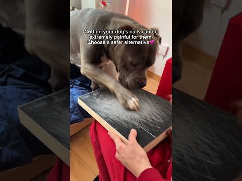 Here👉https://thecalmpaw.store/products/thecalmpaw