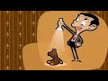 Mr bean Dead cat | Full episode | Mr.Bean Cartoon Express