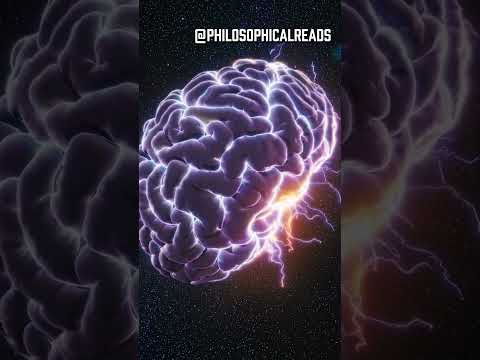 "I Think, But Do I Exist? - The Boltzmann Brains Paradox