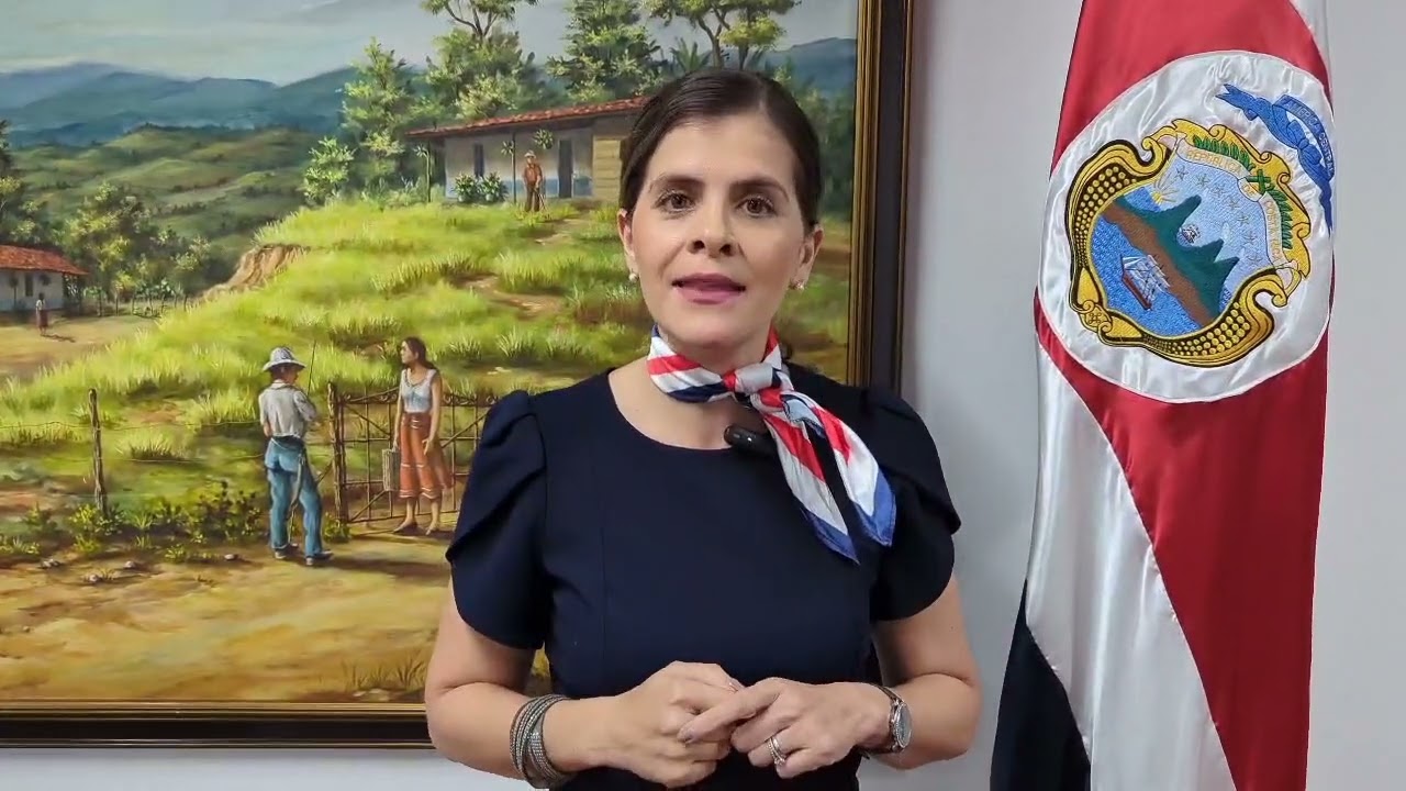 declaración de la sr