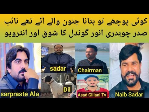 Top Class Bulley Breed Dog name: DiL Honour: Ch Anwar Gondal Naib Sadar:Pak Janoon Group