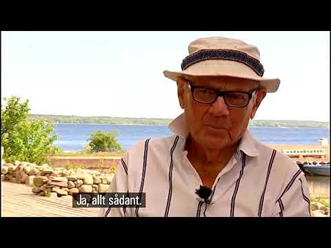 Palmemordet - Barndomsvännen: Stig är ingen Mördare - SVT 10 Juni 2020